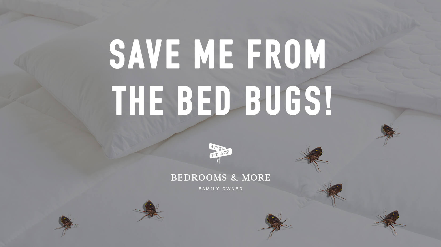 Get Rid Bed Bugs