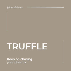 Truffle Color Swatch_DreamFit
