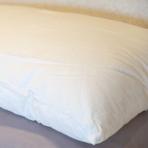 Silk Filled Pillow_Close up Corner_White Loft_1080x1080