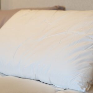 Silk Filled Pillow_White Loft