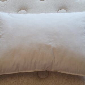 Microfiber Pillow_Top-down Vview_45th St Bedding