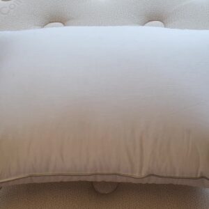 Down-pillow-undressed-top-down-view_45th-st-bedding