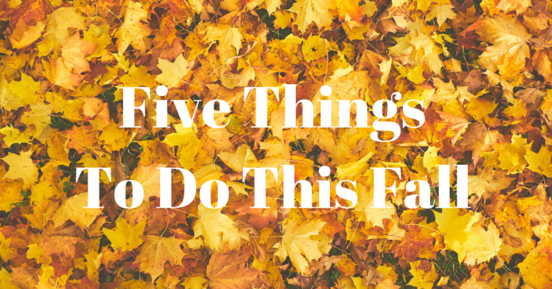 Five Things To Do This Fall