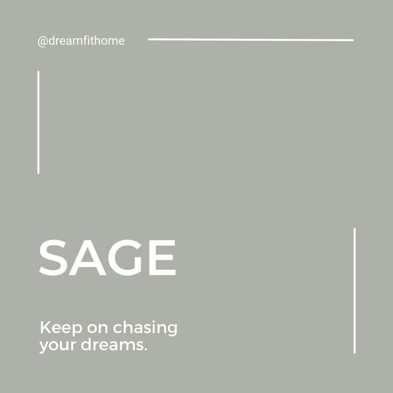StaDry Sage_DreamFit.